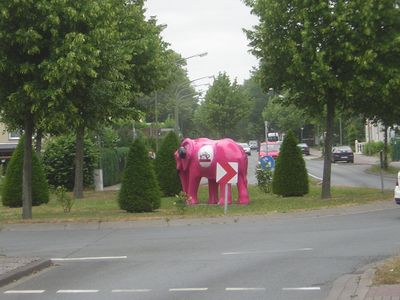 ... roze olifant ...