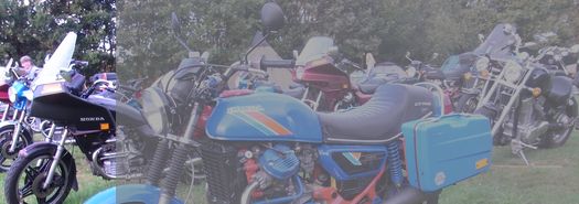 SJK 2019