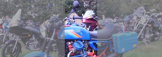 SJK 2019