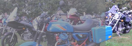 SJK 2019