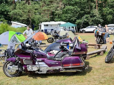 ... vleugellamme Goldwing ...